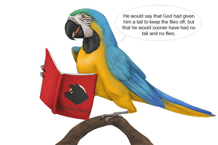 The parrot was able (parable) to read out a simple story that had a deeper meaning.